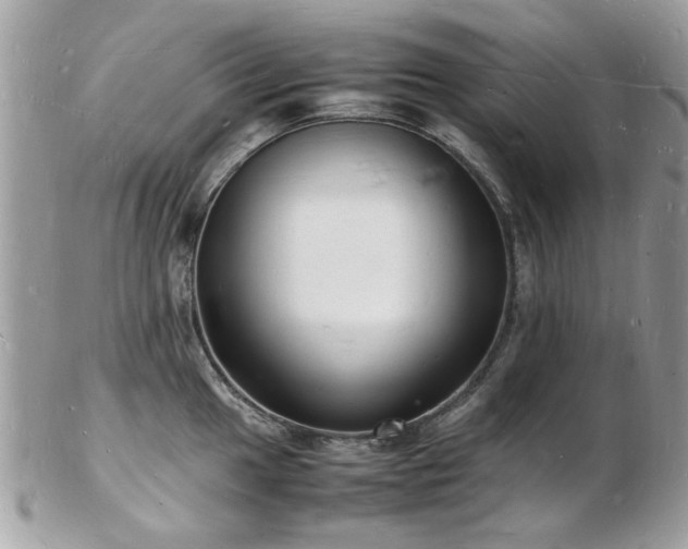 X0000103291049200808291329