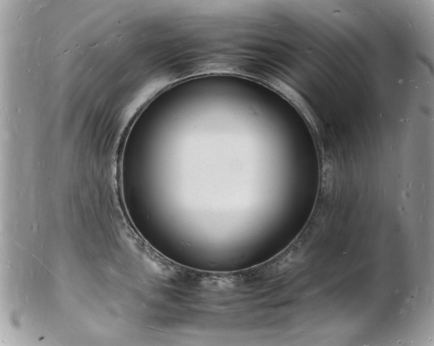 X0000103291051200808291329
