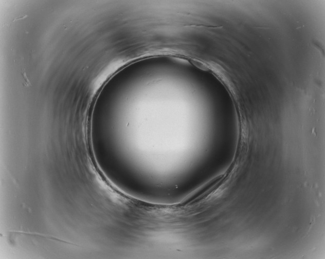 X0000103291054200808291329
