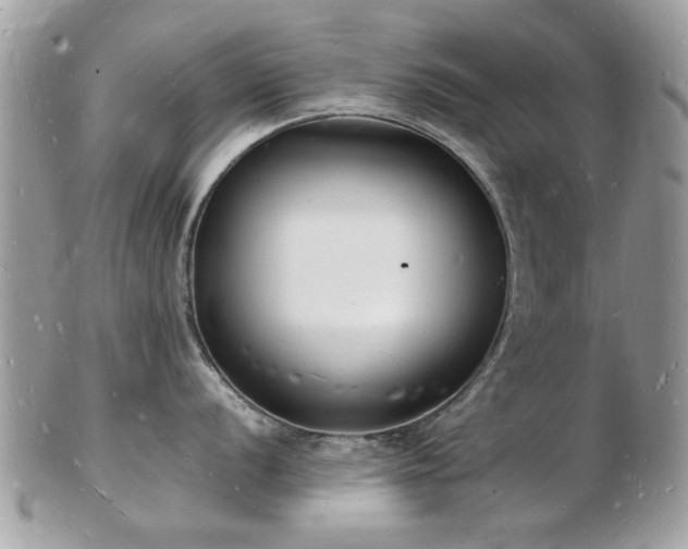 X0000103291056200808291329