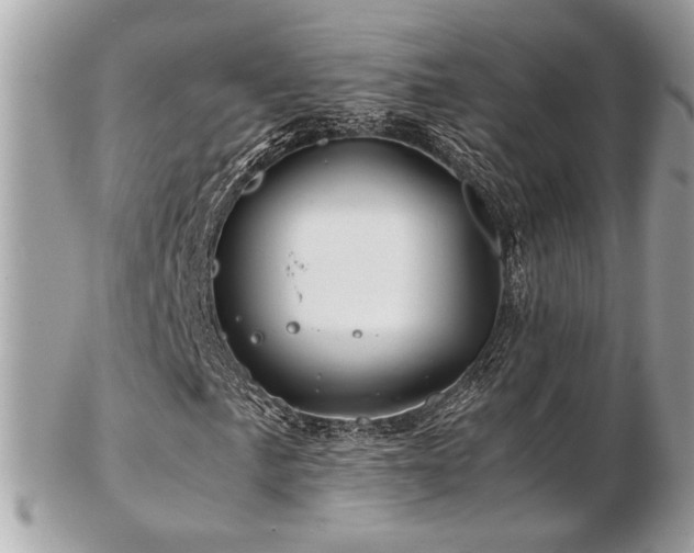 X0000103291057200808291328
