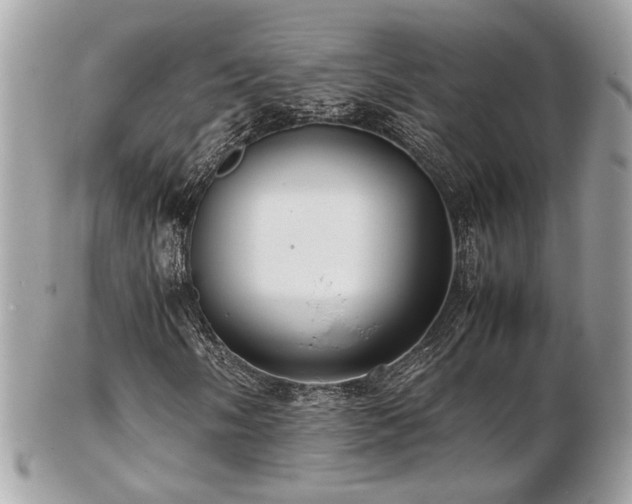 X0000103291058200808291328