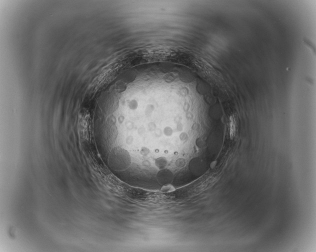 X0000103291059200808291328