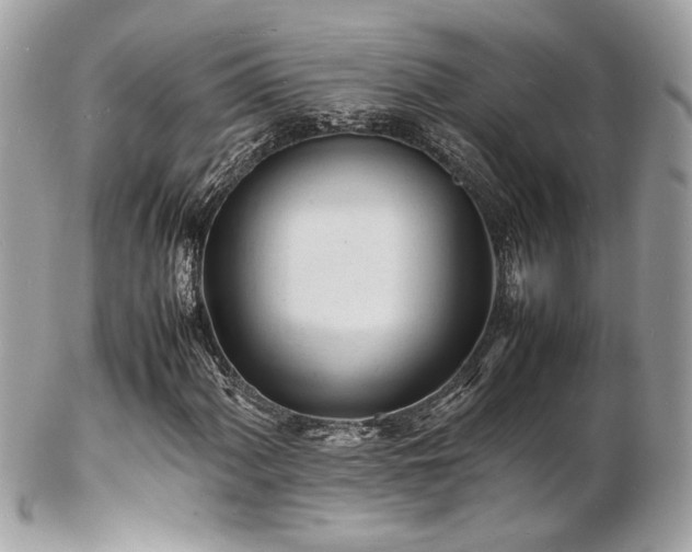 X0000103291060200808291328
