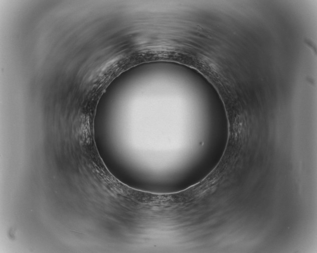 X0000103291062200808291328