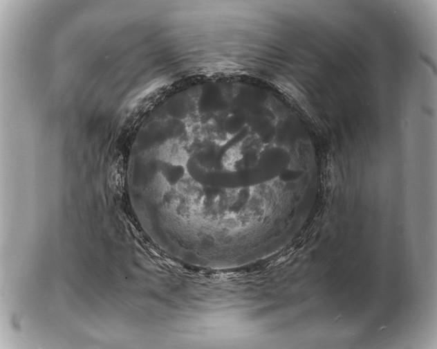 X0000103291063200808291328
