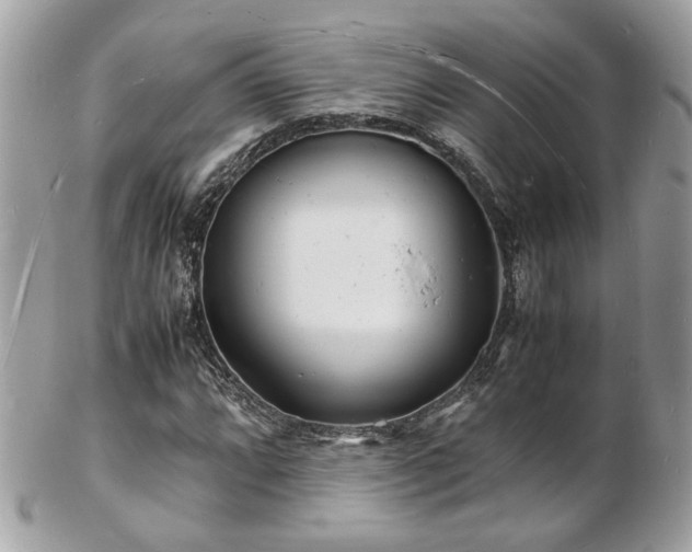 X0000103291064200808291328
