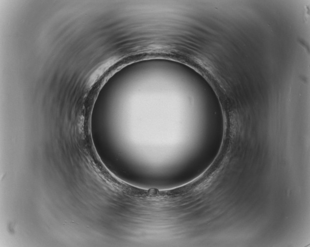 X0000103291066200808291328