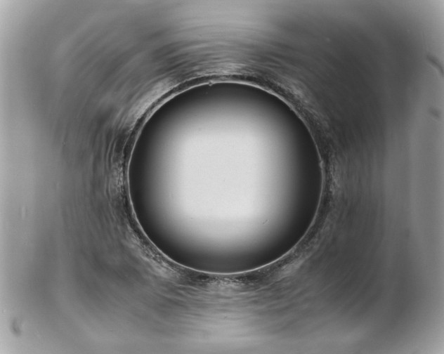 X0000103291073200808291328
