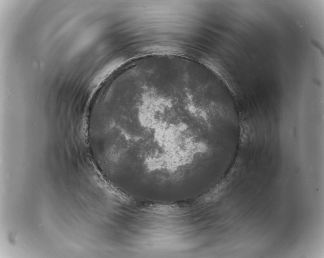 X0000103291074200808291328