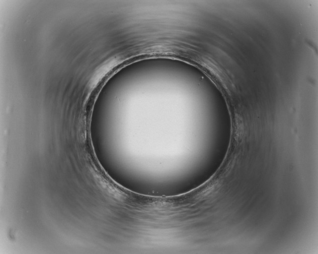 X0000103291075200808291328