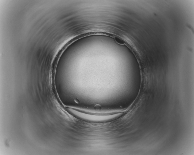 X0000103291076200808291328
