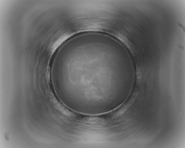 X0000103291077200808291328
