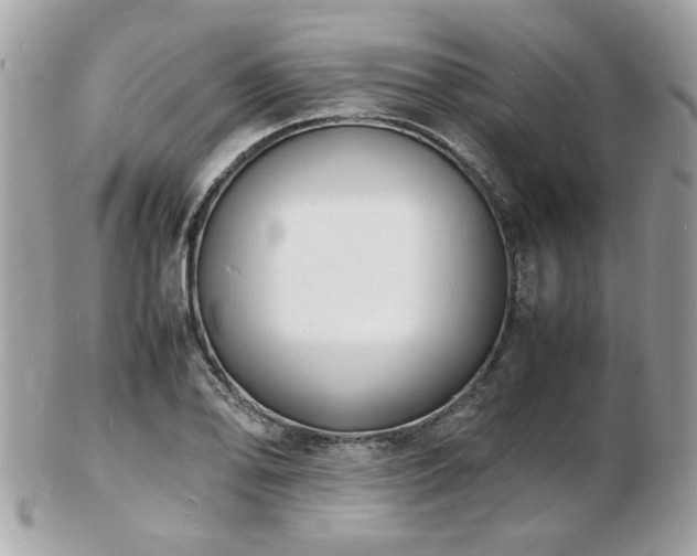 X0000103291078200808291328
