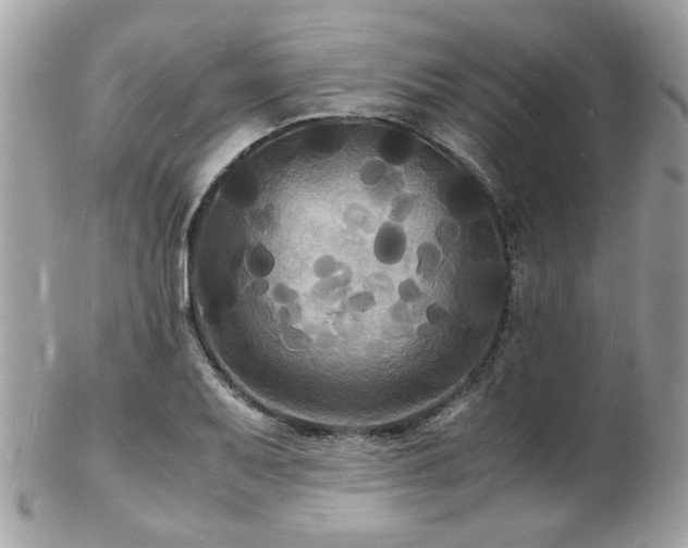 X0000103291079200808291328