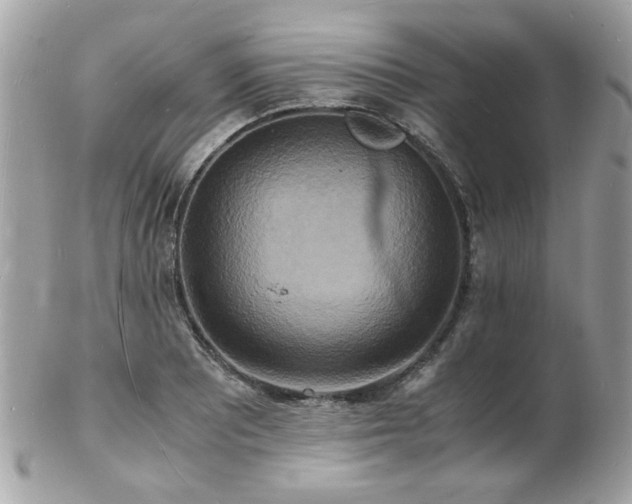 X0000103291081200808291328