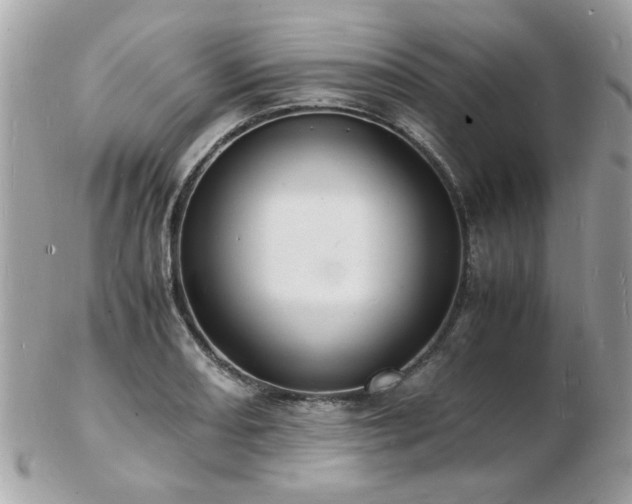 X0000103291082200808291328