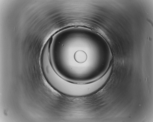 X0000103291084200808291328