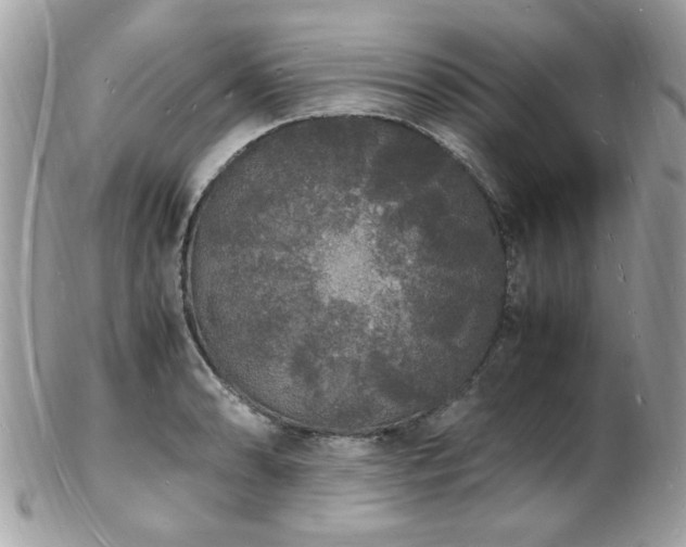 X0000103291086200808291328