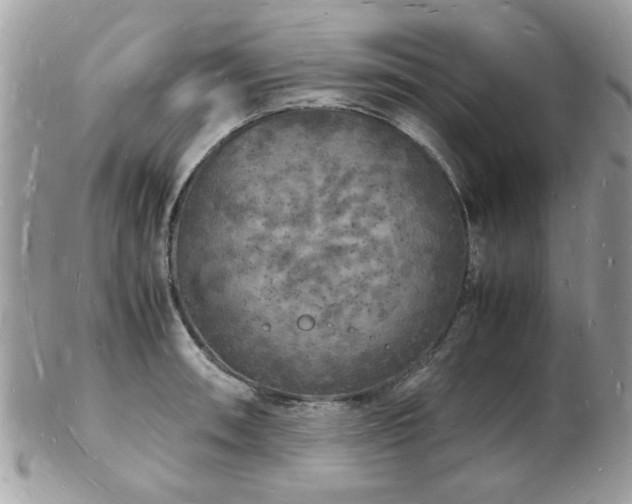 X0000103291090200808291328