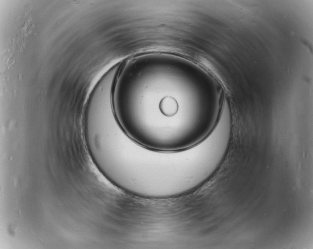 X0000103291092200808291328