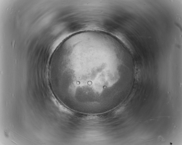 X0000103291094200808291328