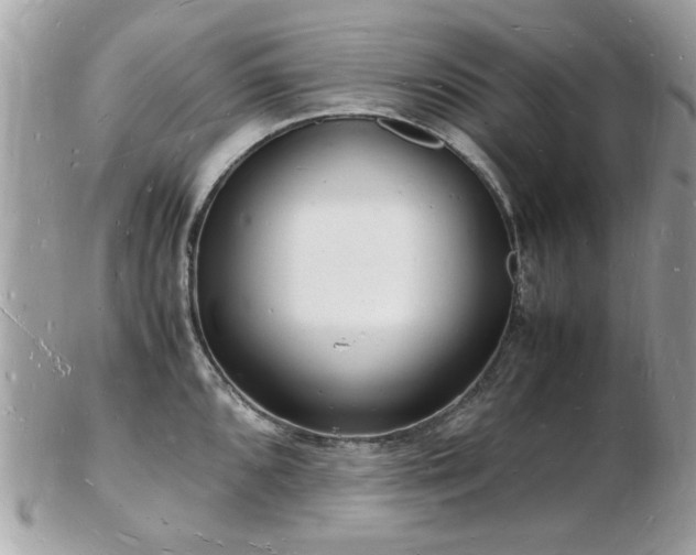 X0000103291096200808291328