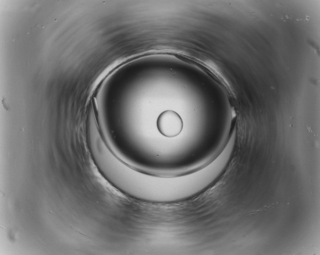 X0000103291100200808291328