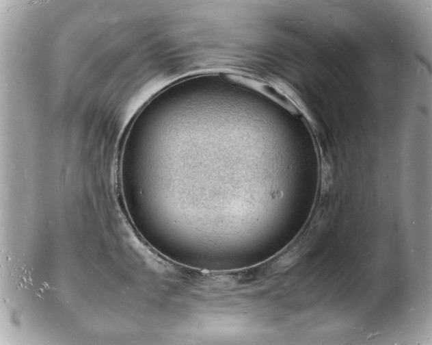 X0000103291101200808291328
