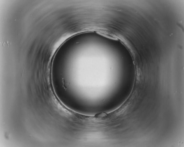 X0000103291102200808291328
