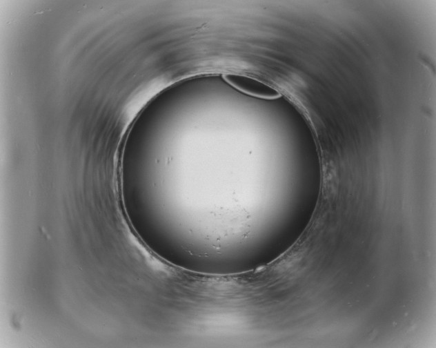 X0000103291103200808291328