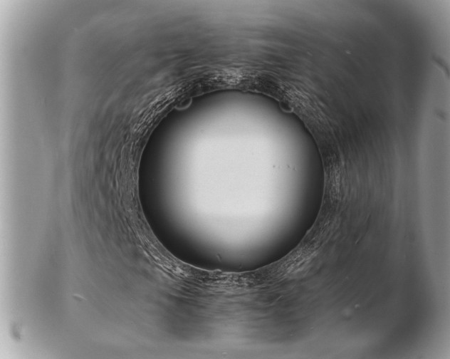 X0000103291105200808291327