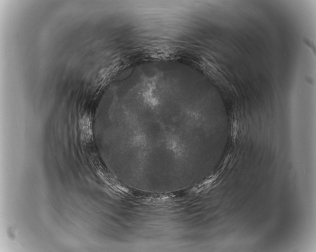 X0000103291106200808291327