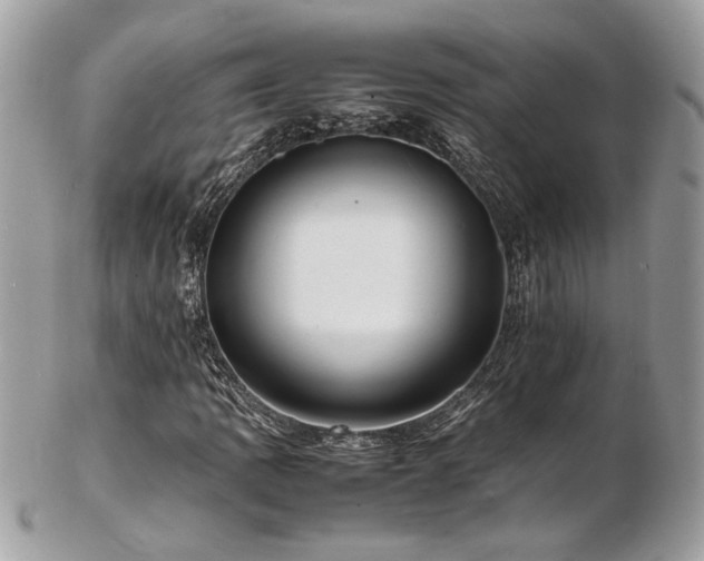 X0000103291109200808291327