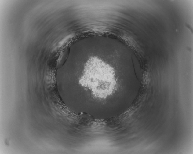 X0000103291110200808291327