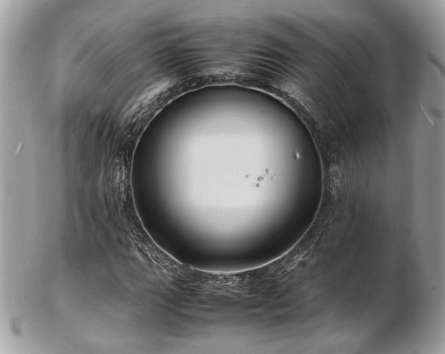 X0000103291111200808291327