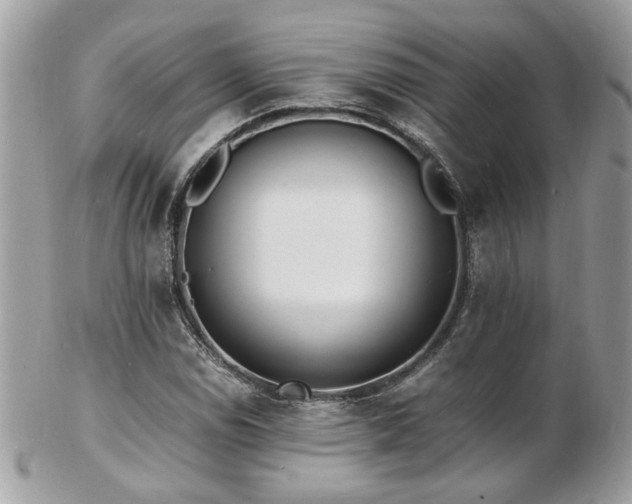X0000103291114200808291327