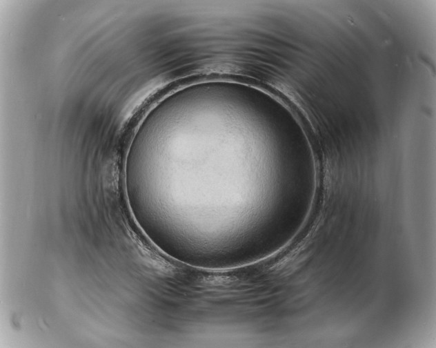 X0000103291115200808291327