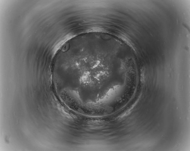 X0000103291117200808291327