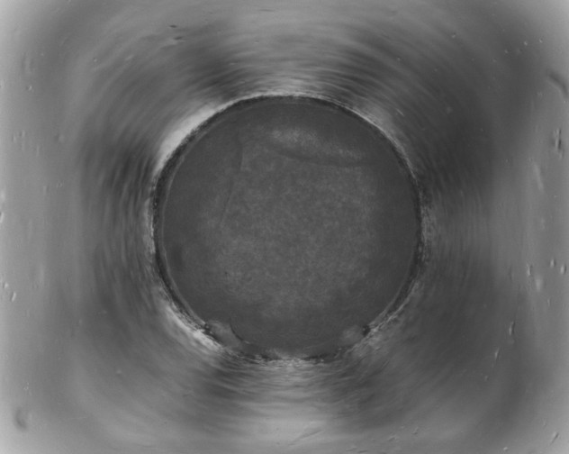 X0000103291120200808291327