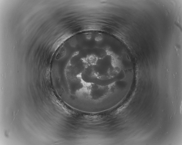 X0000103291121200808291327
