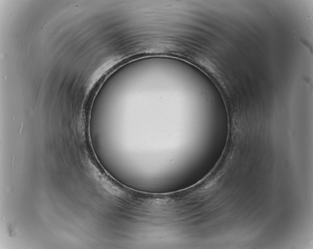 X0000103291122200808291327