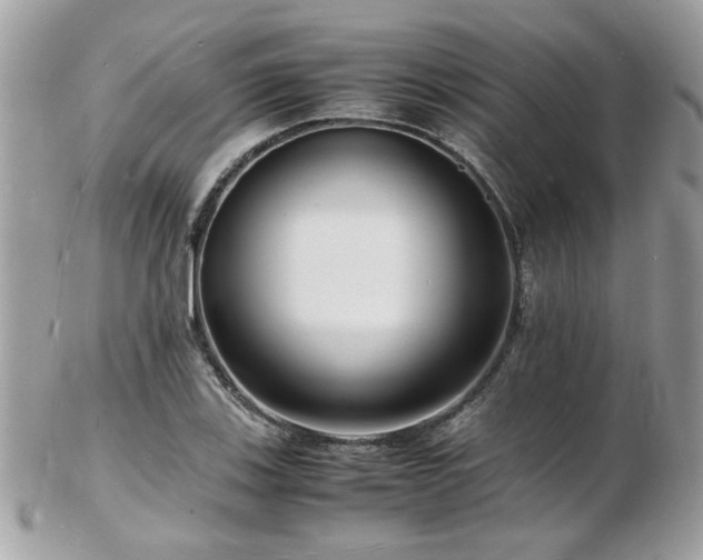 X0000103291123200808291327
