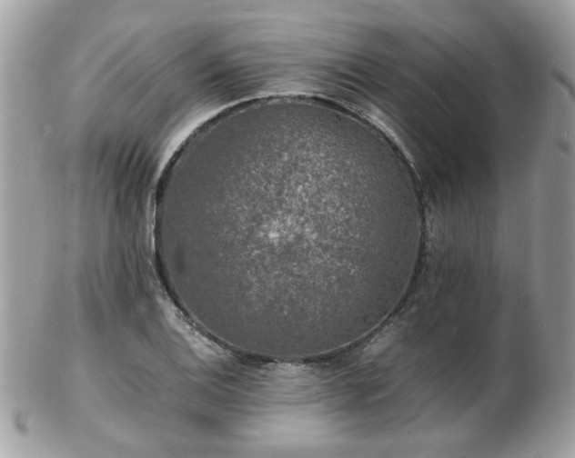 X0000103291124200808291327