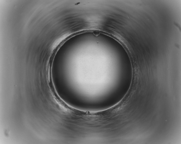 X0000103291127200808291327