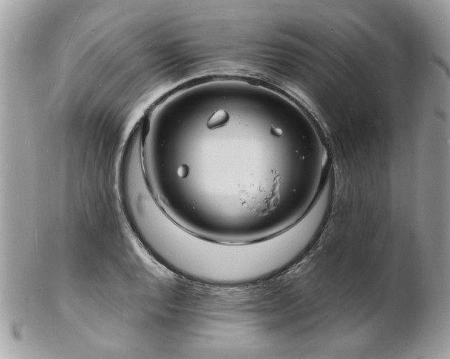X0000103291128200808291327
