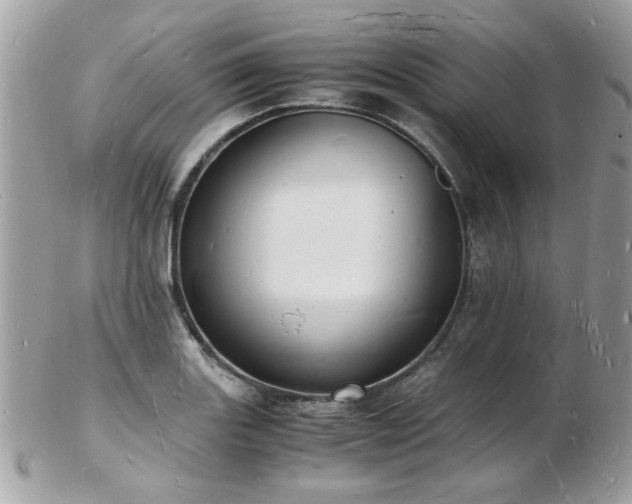 X0000103291131200808291327