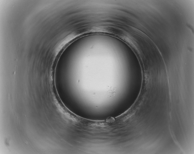 X0000103291133200808291327