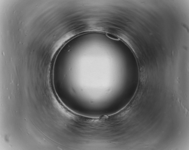 X0000103291139200808291327