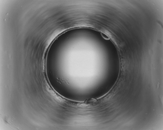 X0000103291140200808291327
